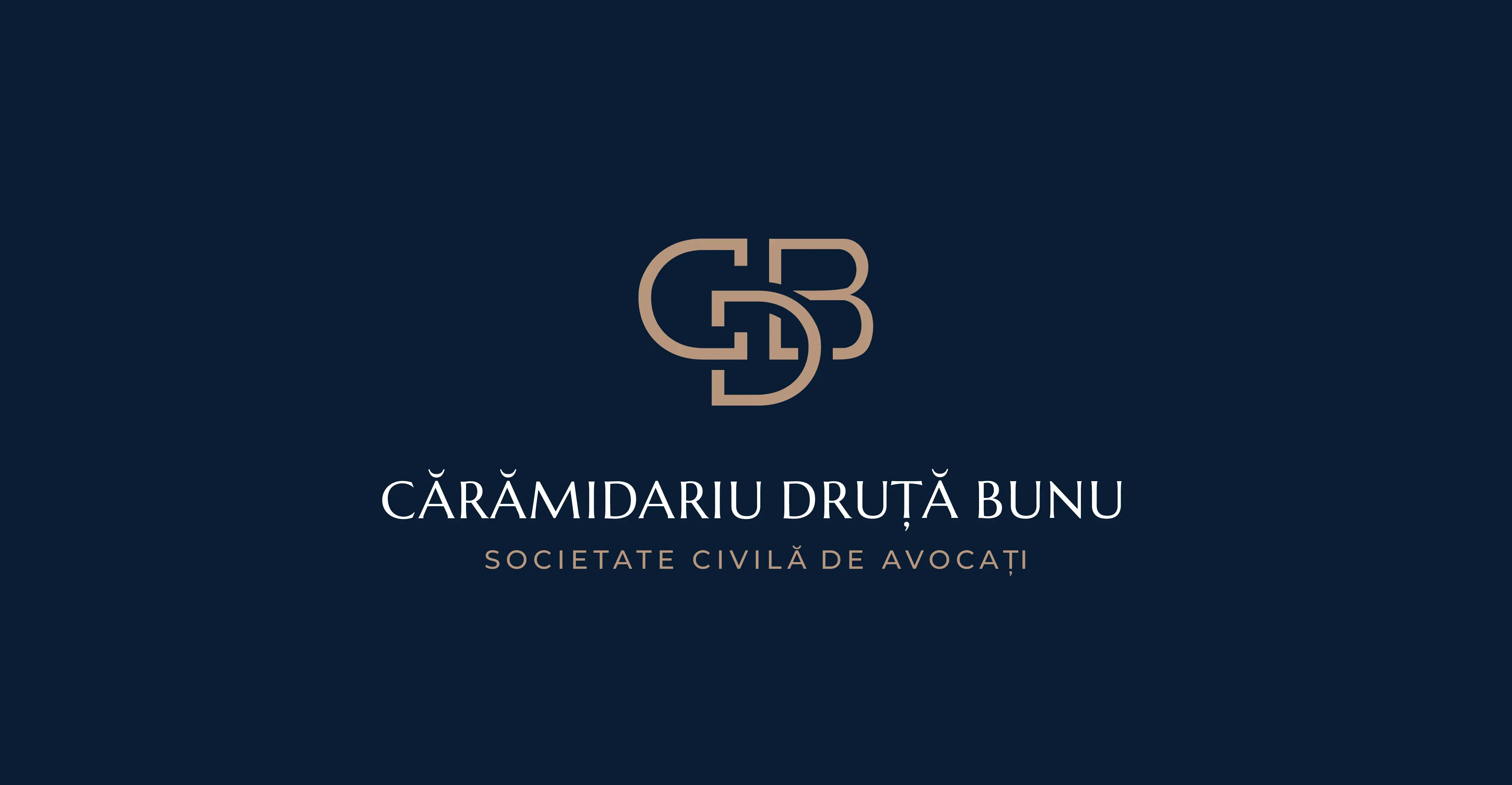 Doi ani de activitate - Cărămidariu Druță Bunu SCA